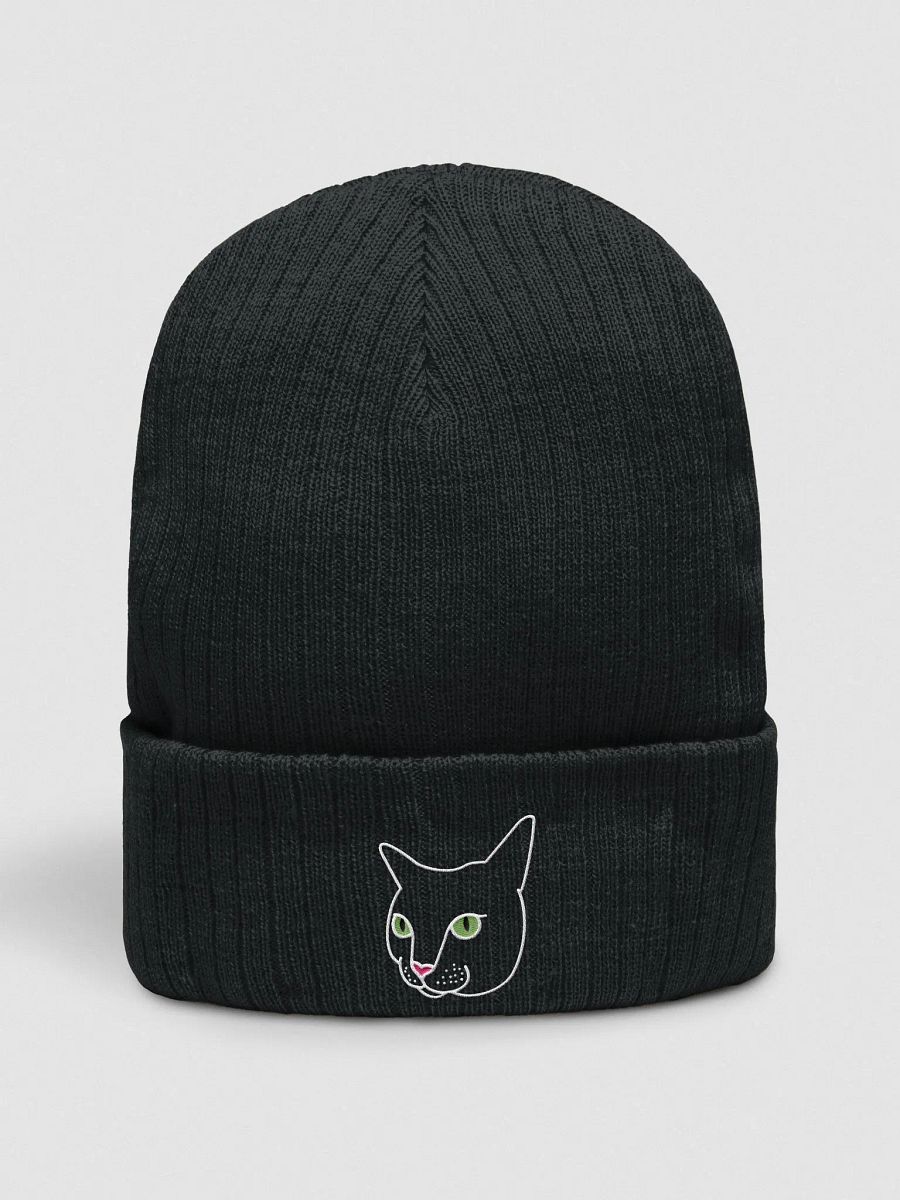 Ripley Beanie product image (1)