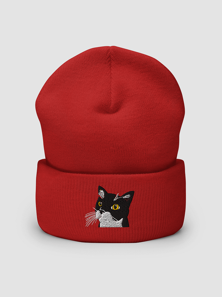 Handsome Felix Embroidered Beanie product image (2)