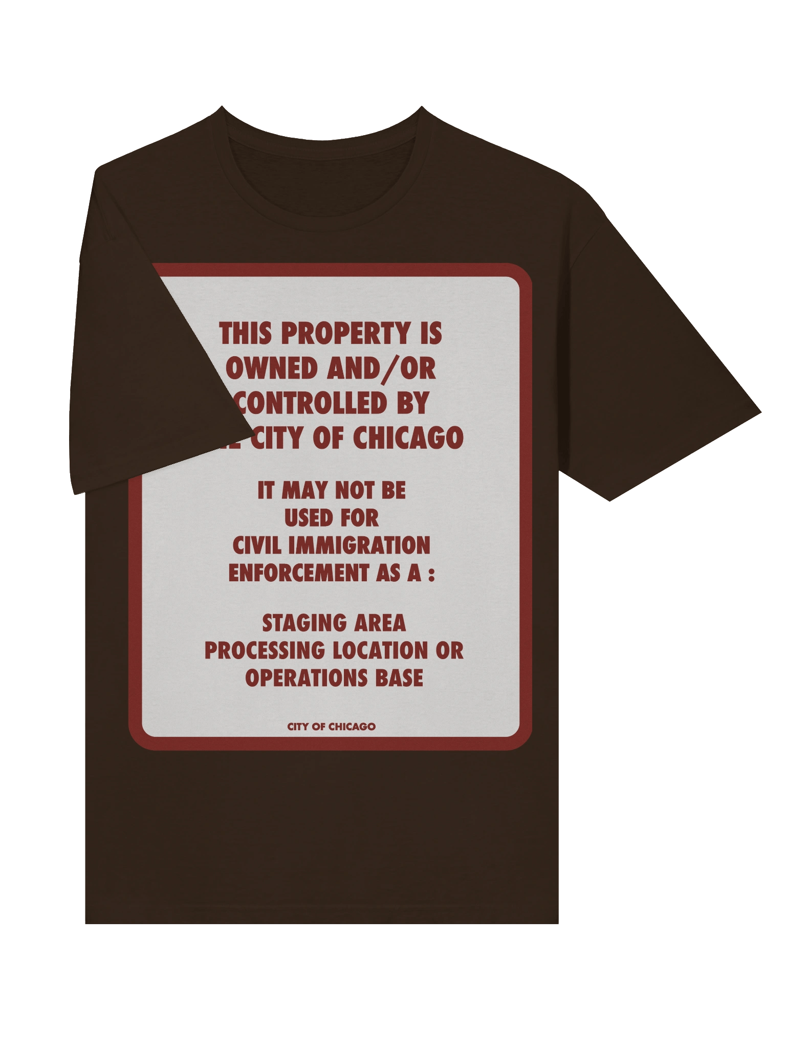 The Chicago No Ice T Shirt product image (5)