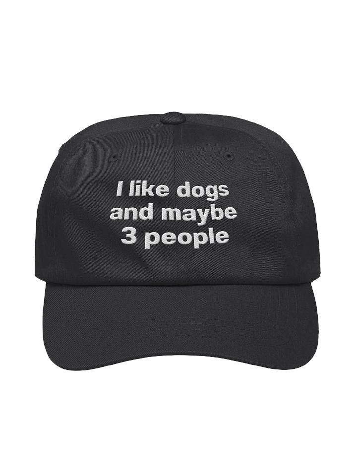 I like dogs and maybe 3 people Embroidered Hat product image (1)