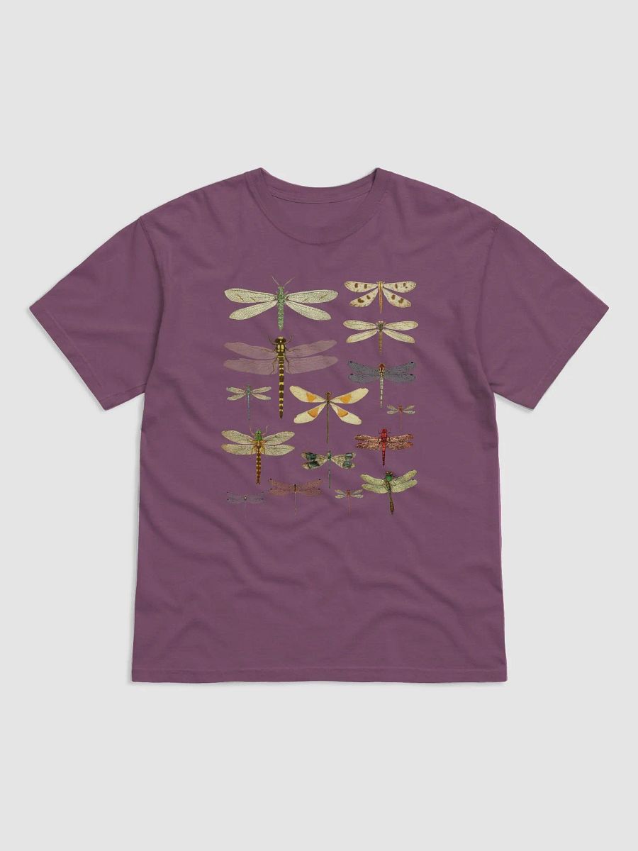 Various Types of Dragonflies T-Shirt | Vintage-Style Goblincore and Fairycore Shirt for Entomology and Insect Enthusiasts product image (2)