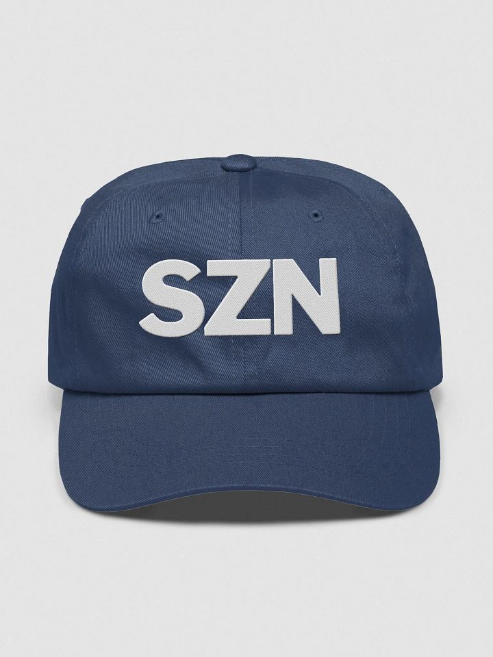 Dad Hat product image (1)