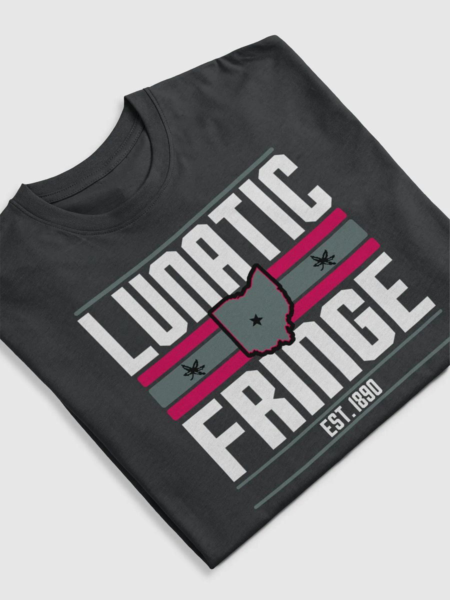 Lunatic Fringe Tee product image (5)