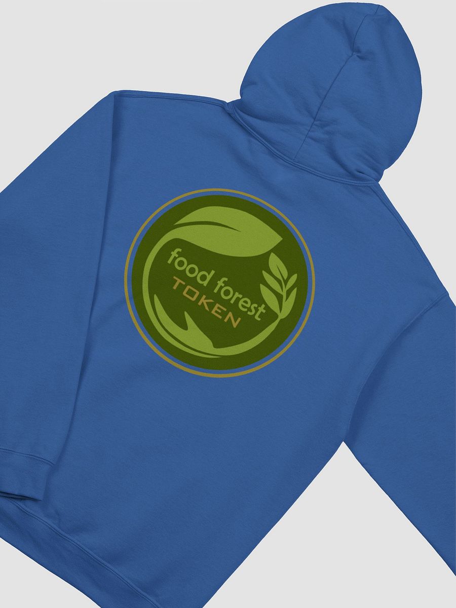 FFS Hoodie Royal - Felpa Royal FFS product image (4)