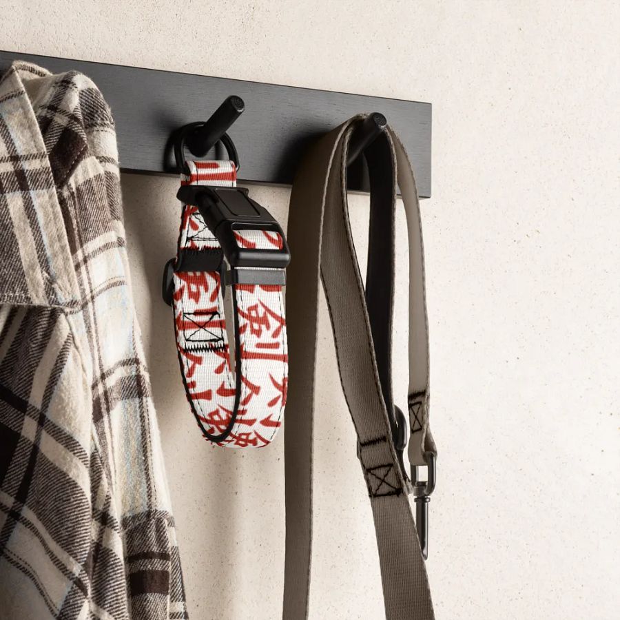 Ken Dog Collar 