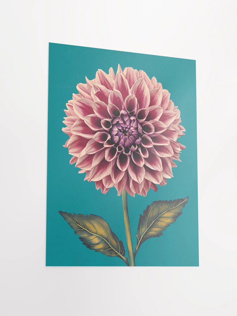 Dahlia Print product image (16)