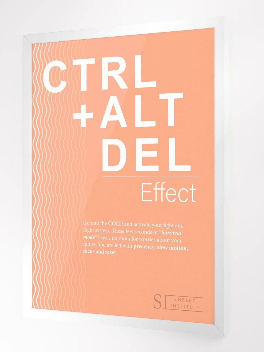 CTRL+ALT+DEL orange product image (2)