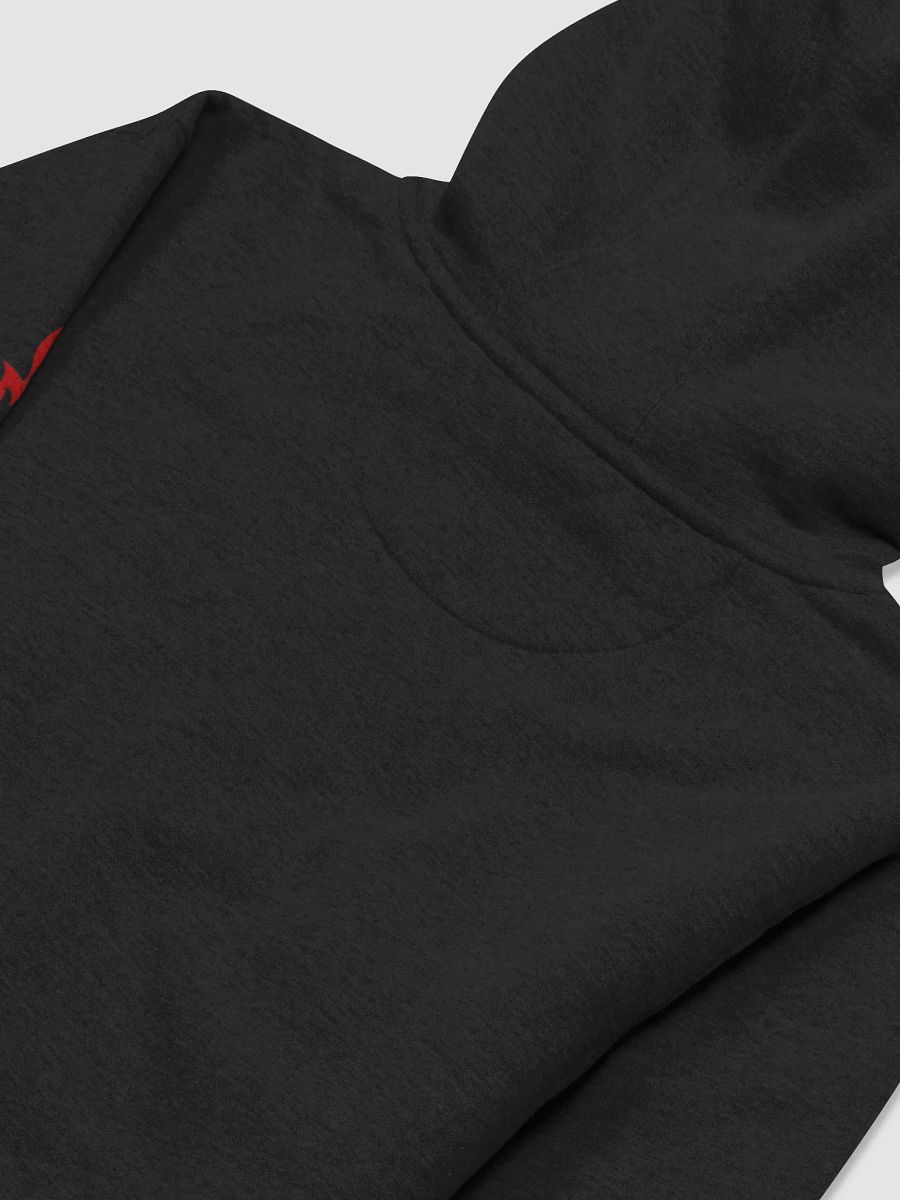The Classic PoR Hoodie product image (4)