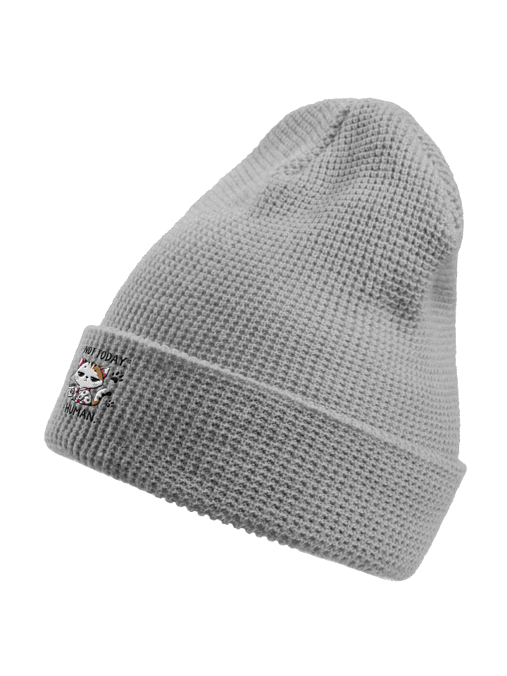 Light Grey Knitted Beanie Sarcastic Cat Coffee Quote – “Not Today Human” Cozy Winter Hat for Cat Lovers product image (4)