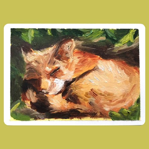 Sleeping fox cub. Oil on card 64x89mm / 2.5x3.5in

#art #painting #oilpainting