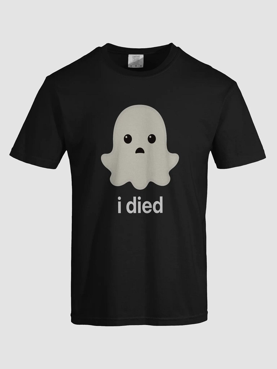 Sad Ghost Heavyweight Tee - Dark Color product image (64)
