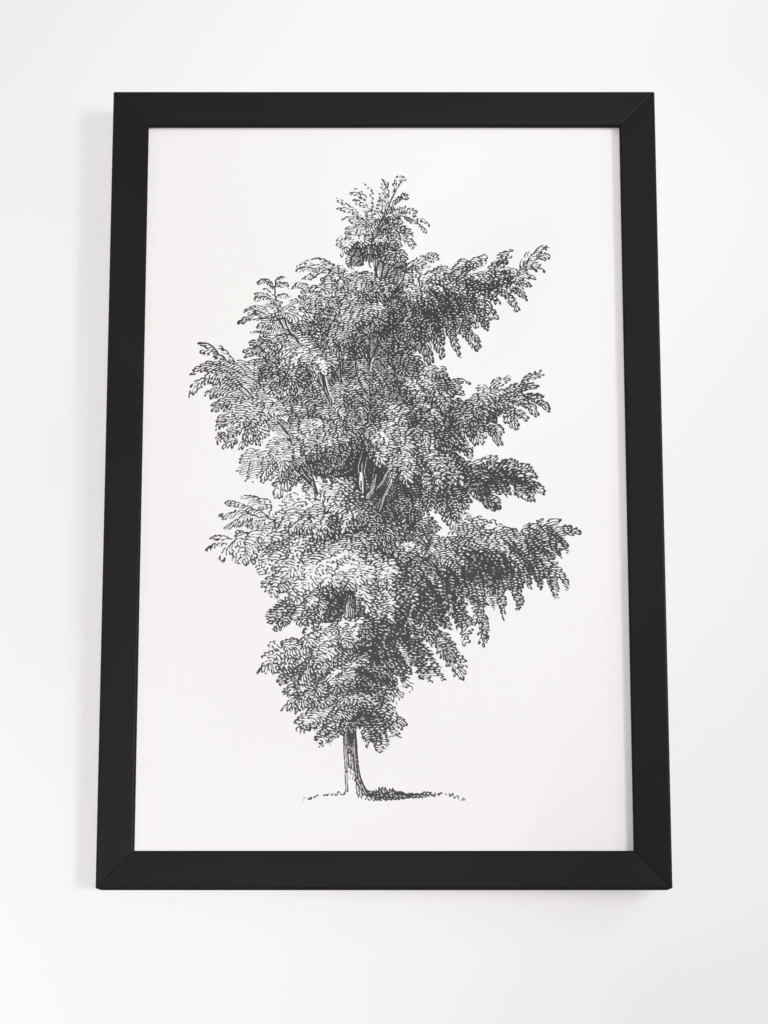 Woodland Trees #1 Framed Print product image (4)