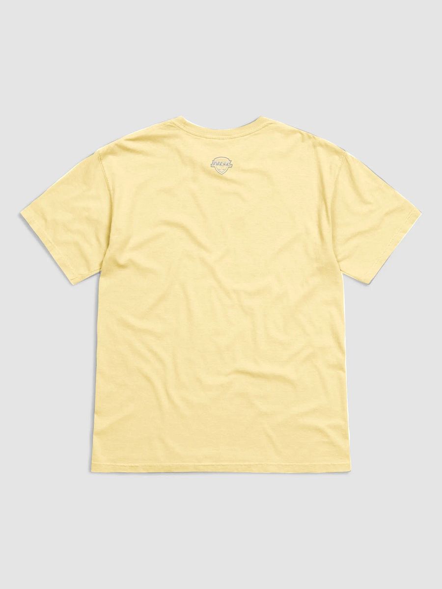 Charleston Pirates T-Shirt by Comfort Colors product image (2)