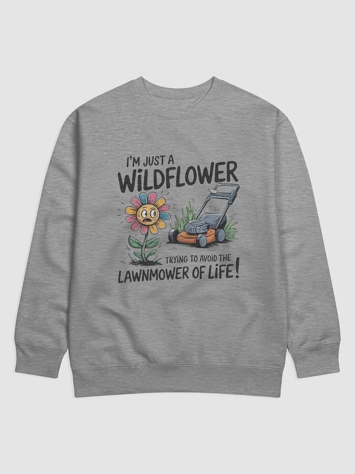 Lawnmower of Life product image (1)