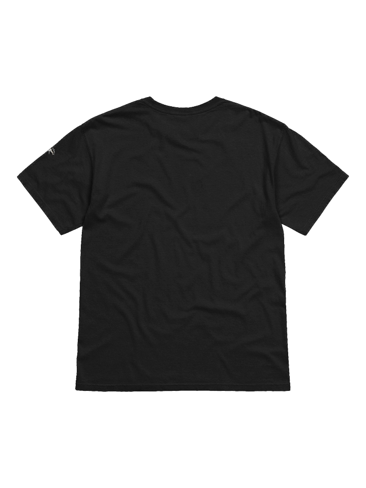 Lil Brrd Stitched Classic Tee product image (2)