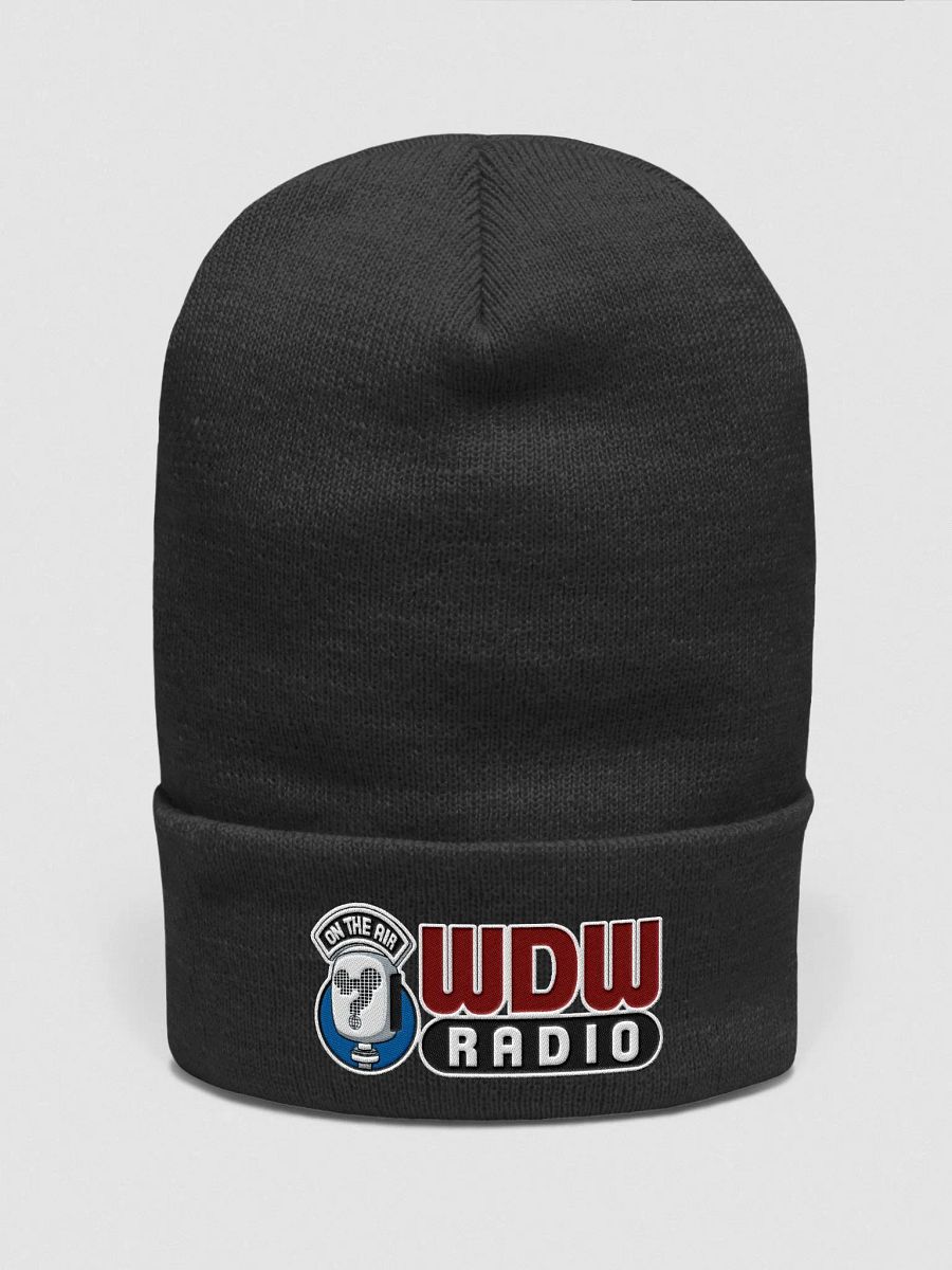 WDW Radio Beanie product image (1)