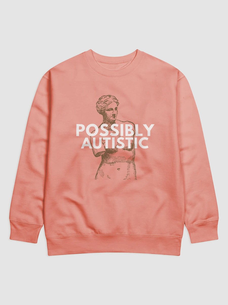 POSSIBLY AUTISTIC - SWEATER product image (1)