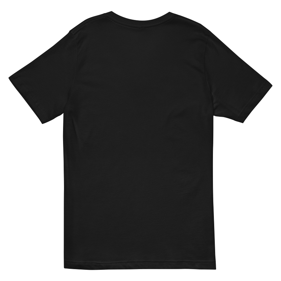 Illuminate the Healing Journey V-Neck Tee product image (4)