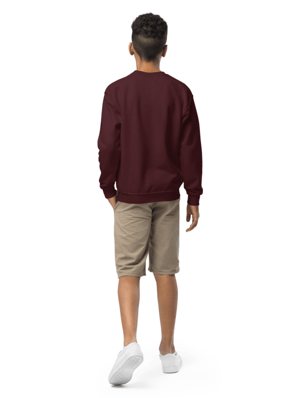 Abstract Fusion Youth Sweatshirt product image (9)