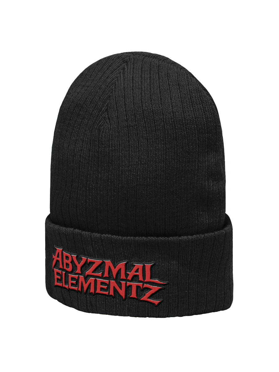 AE Logo Beanie product image (2)