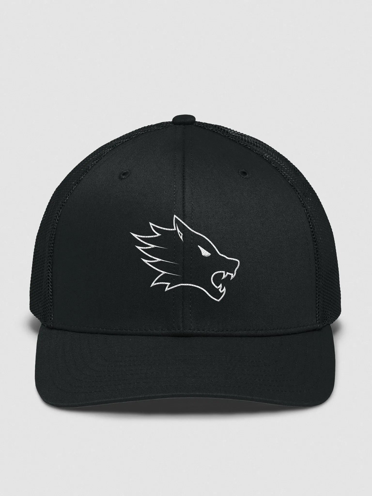 Basics Cap product image (1)