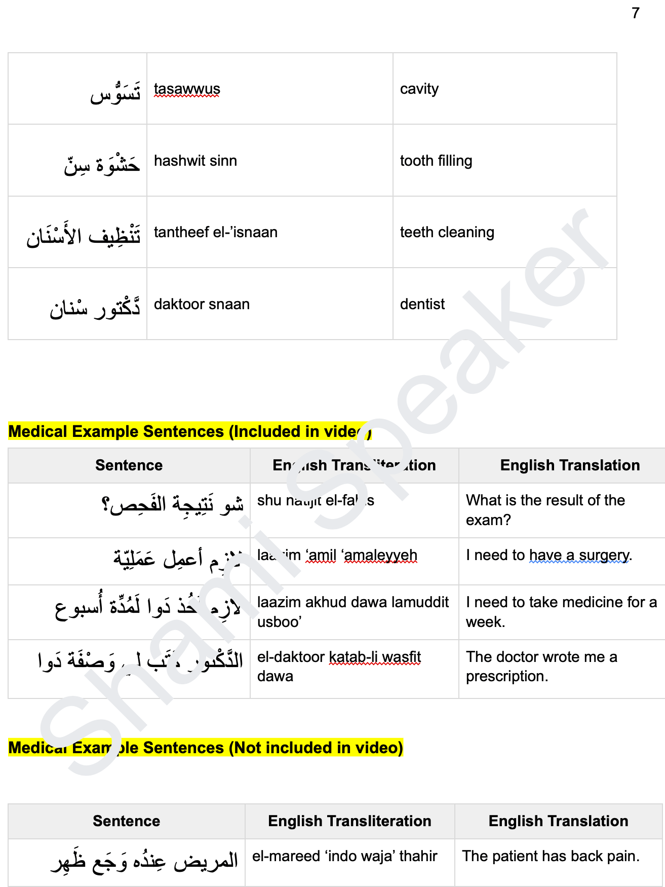 Medical Vocabulary in Levantine Arabic product image (3)