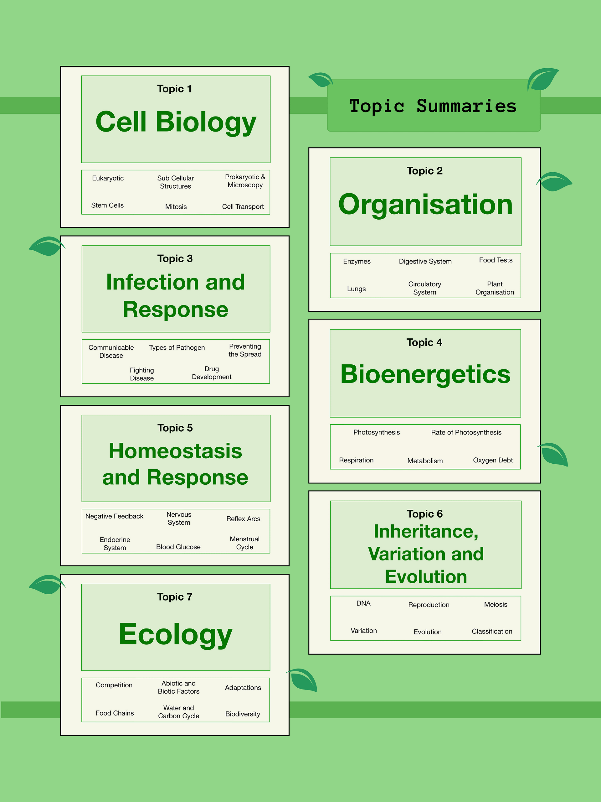 The WHOLE of AQA GCSE Biology Revision Notes (50+ Pages) | Revision Made Easy product image (4)