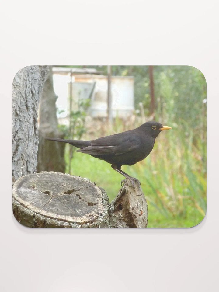 Classic Mouse Pad - The common blackbird product image (2)