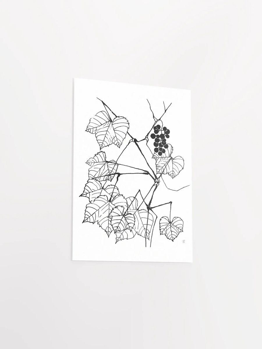 Enchanting Botanical Illustration Poster - Fine Grape Leaves product image (3)