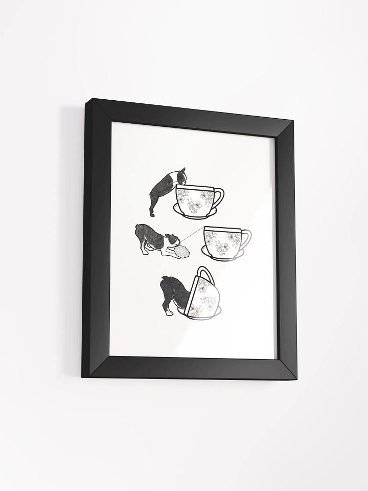 curiosity product image (18)