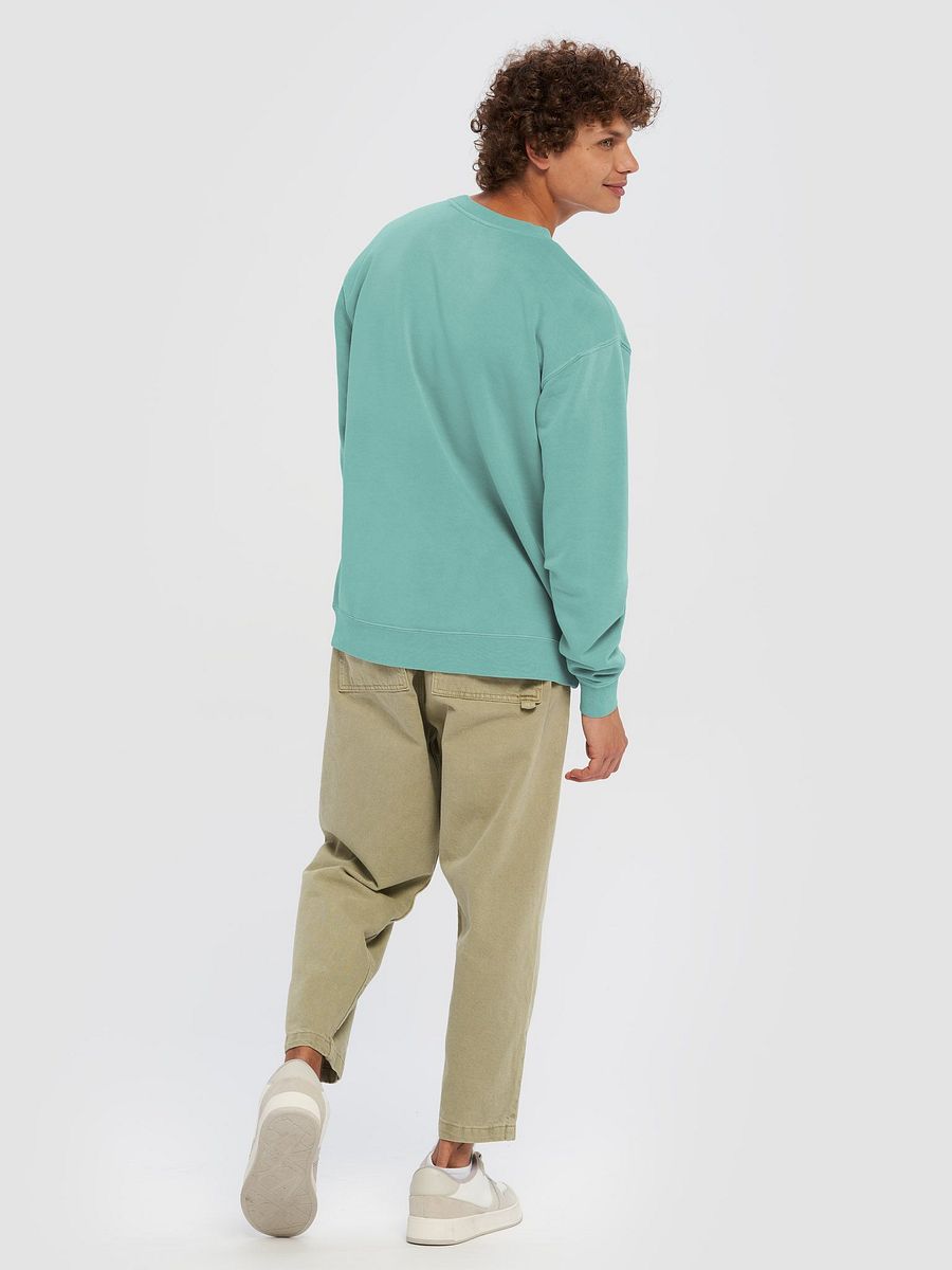 Unisex Midweight Pigment Dyed Sweatshirt product image (5)