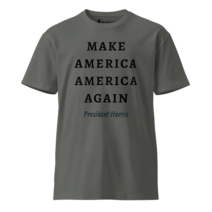 Make America America Again - Premium Unisex T-Shirt product image (1)