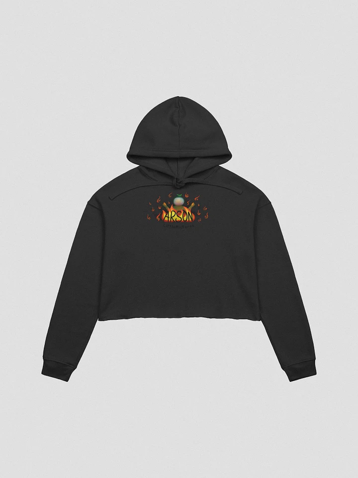 Arson Cropped Hoodie product image (4)