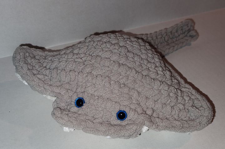 Manta Rays product image (2)