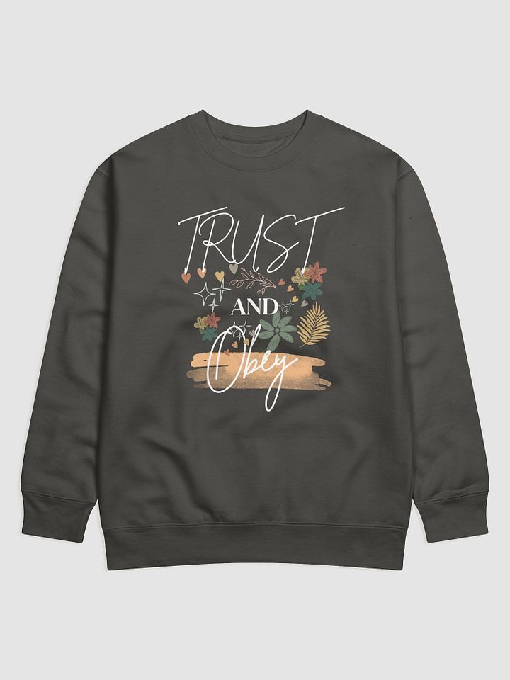 Classic Comfort Christian Sweatshirt – Unisex Heavyweight Cotton Lounge Wear – Faith-Inspired Apparel by KKacreations product image (2)