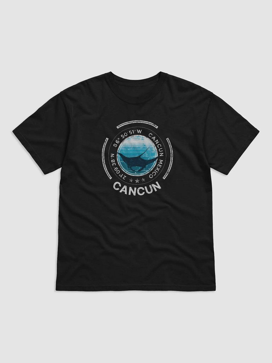 Cancun Manta Diving product image (9)