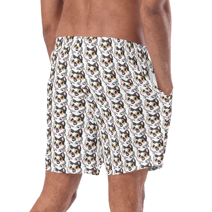 Echo Swim Trunks product image (2)