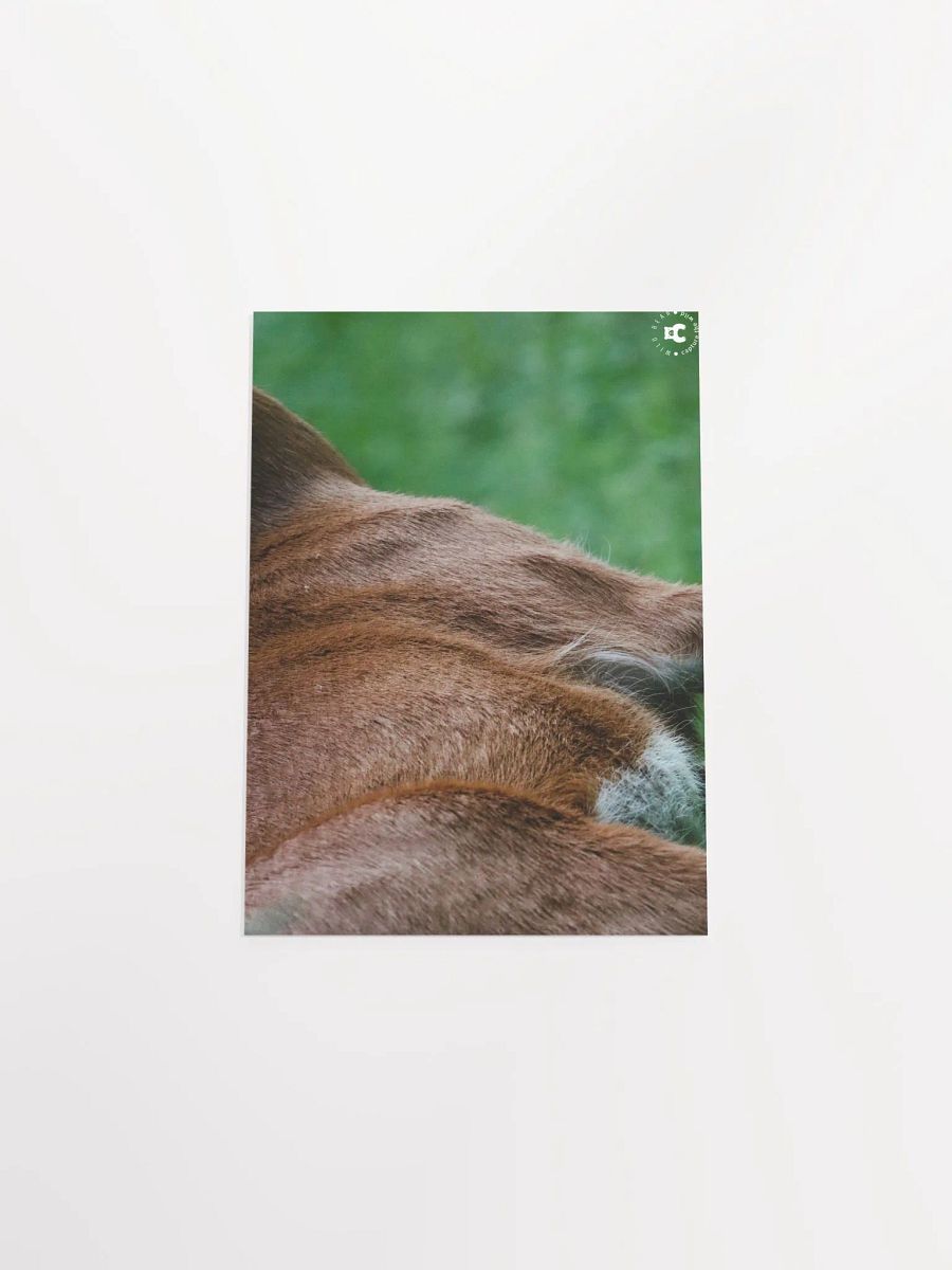 Wild Fur Print Poster product image (29)