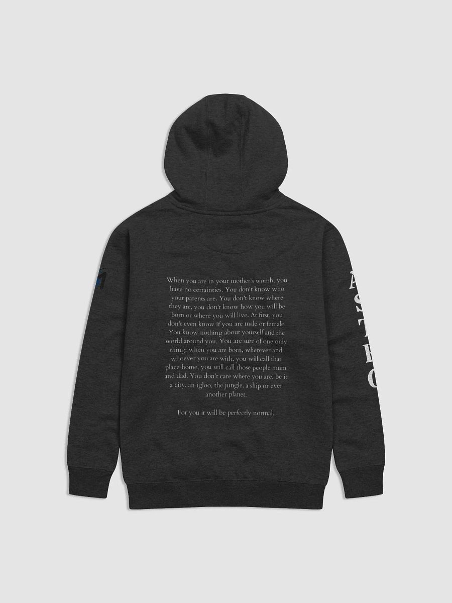 AD MARTEM 12 Born on Mars Hoodie product image (2)