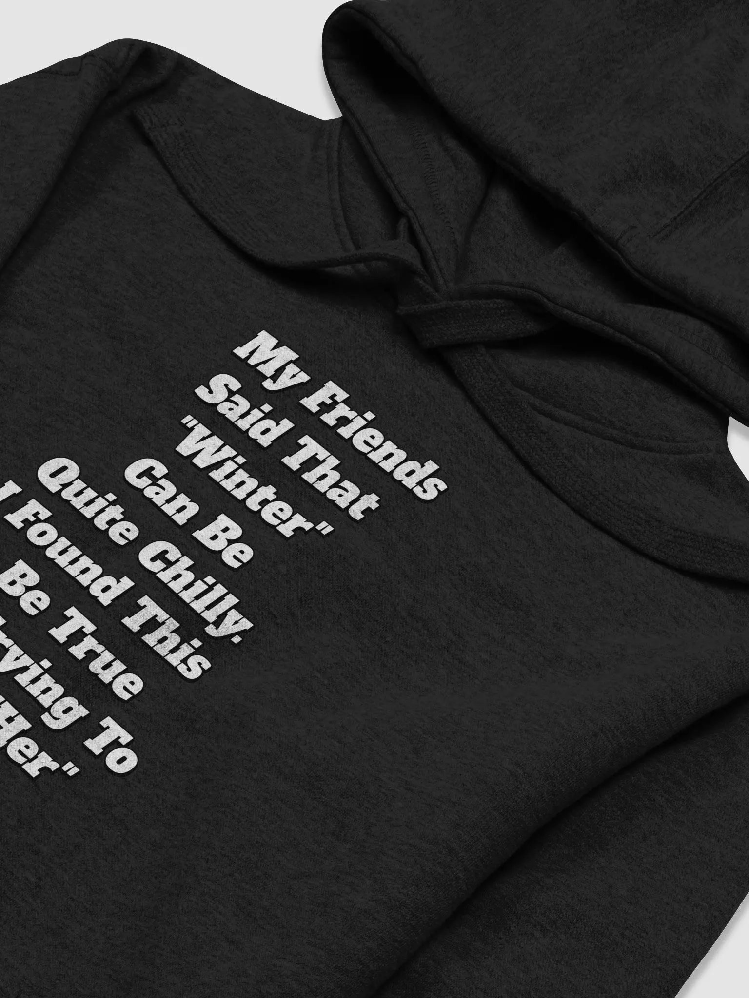 My Friends Said That Winter Can Be Chilly Funny Hoodie product image (38)