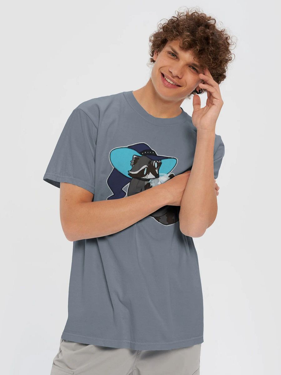 Raccoon Fortune product image (28)