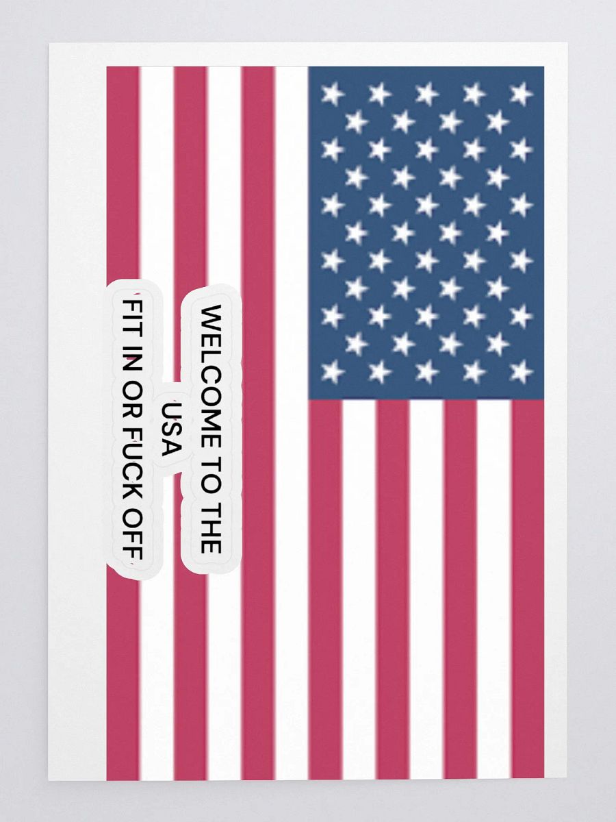 Stars & Stripes FIT IN OR F*CK OFF STICKERS product image (3)