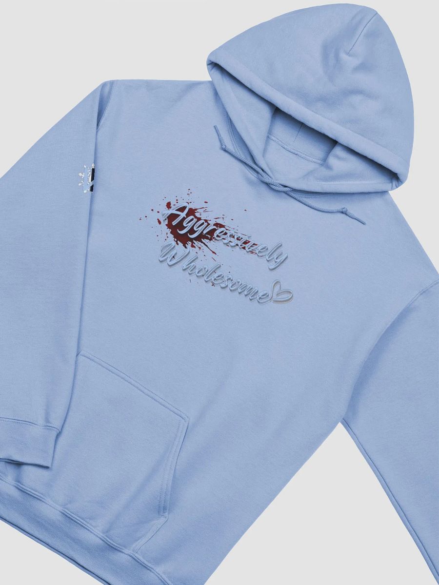 Wholesome Hoodie product image (3)