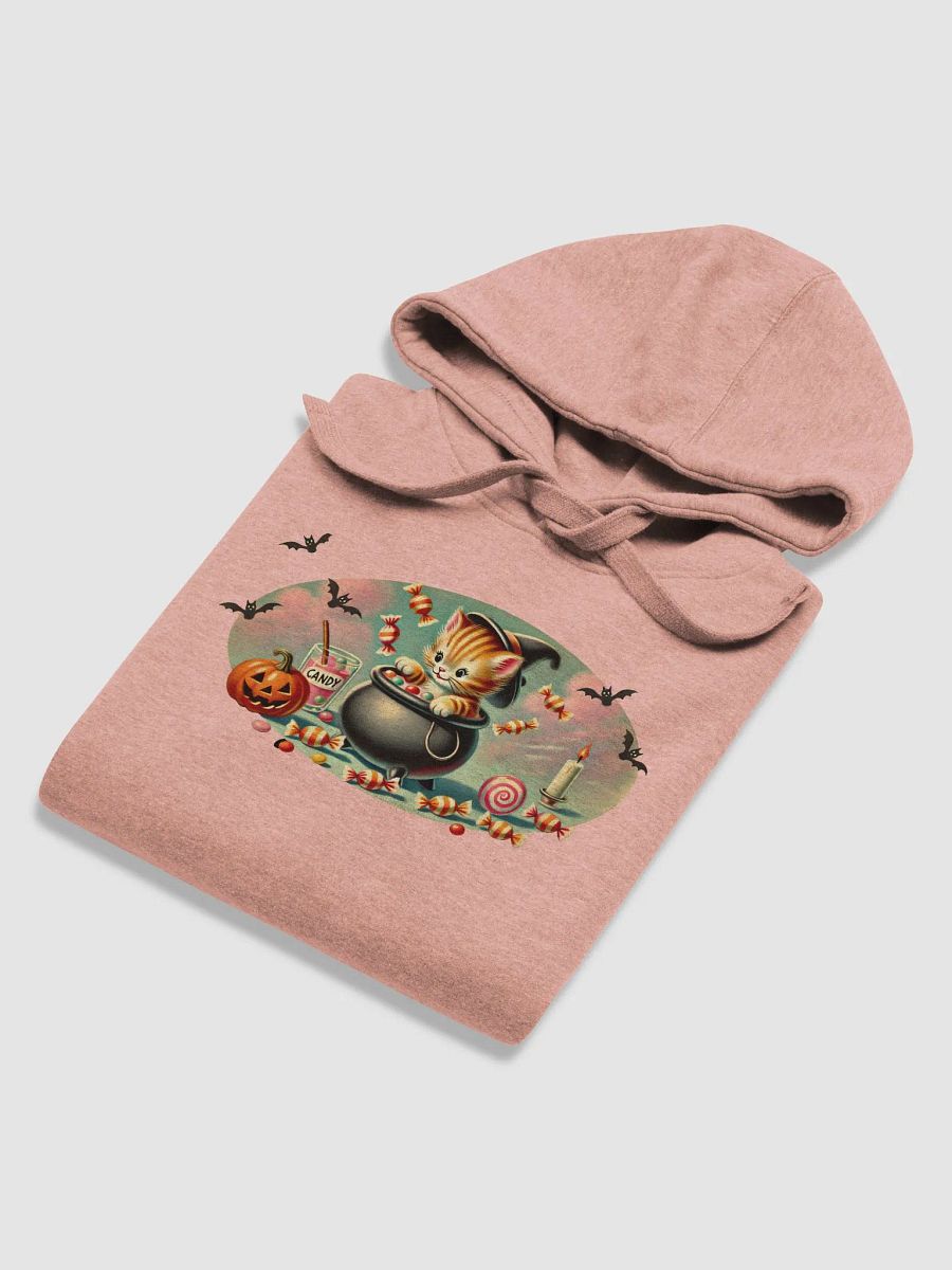 Halloween Cauldron Kitten Premium Unisex Hoodie product image (6)