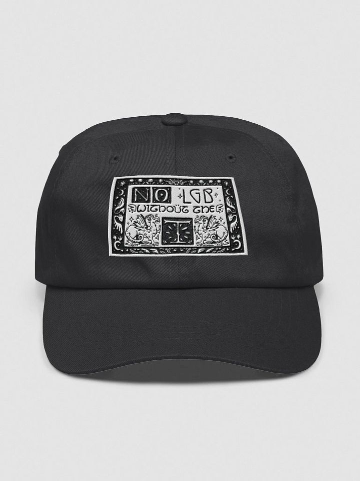 no LGB without the T product image (4)