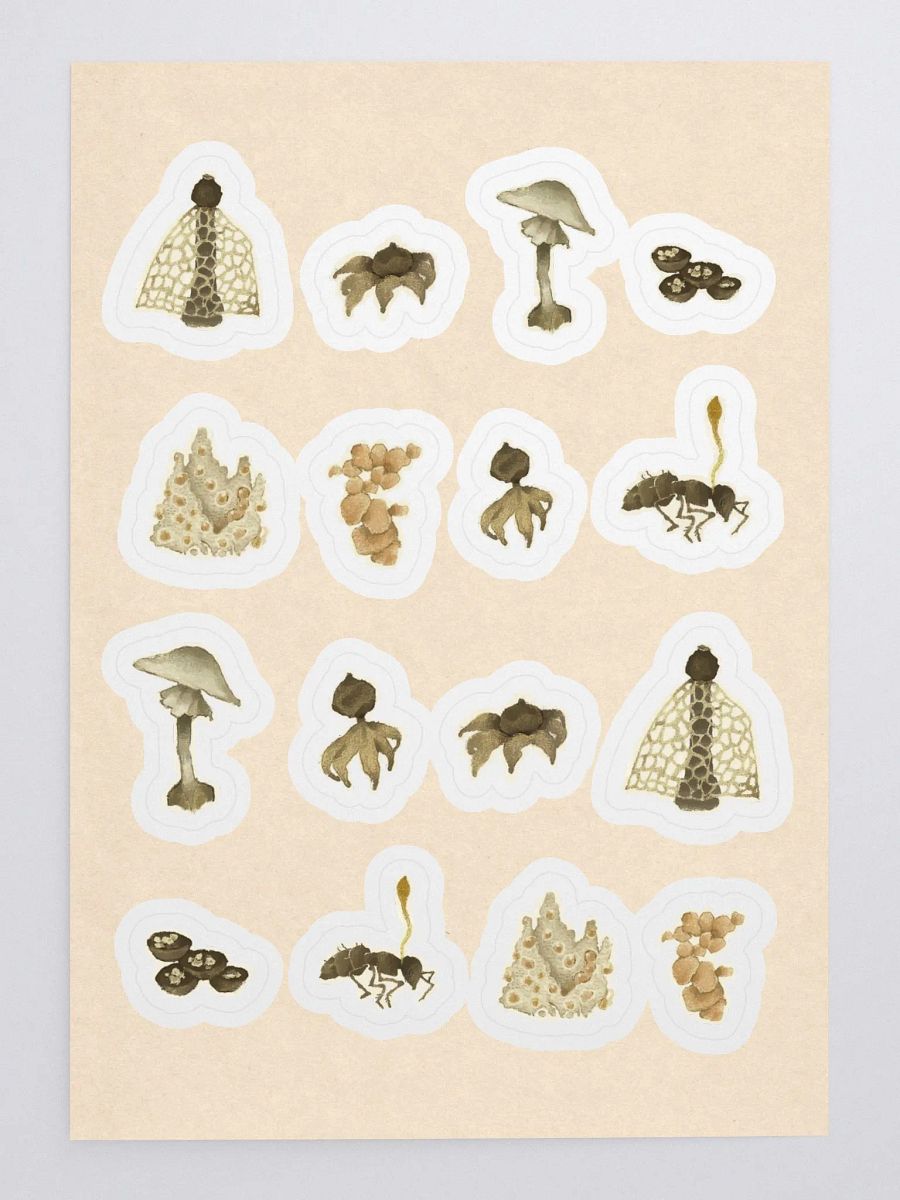 Mycology product image (3)