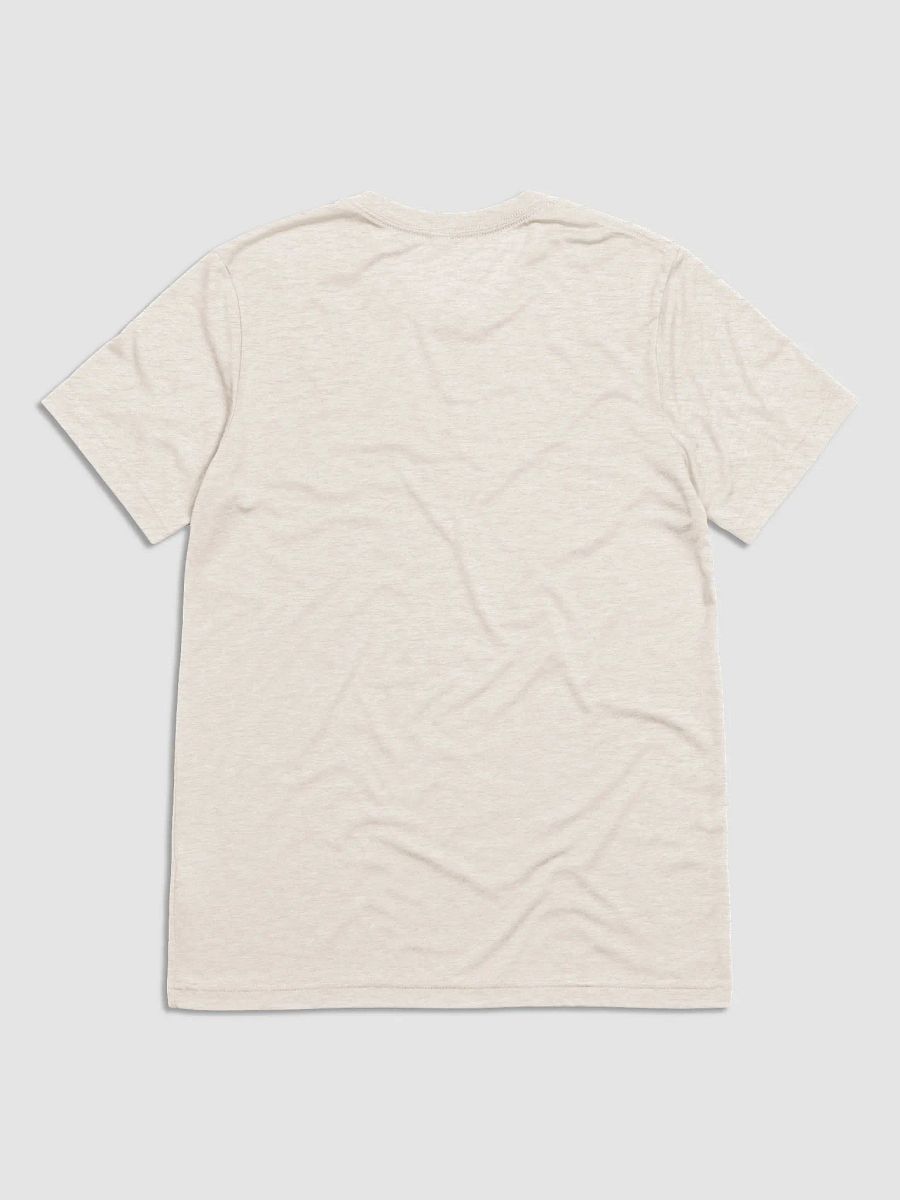 Christian Conspiracy Coalition (Bible Edition) - Triblend Short Sleeve T-Shirt product image (2)