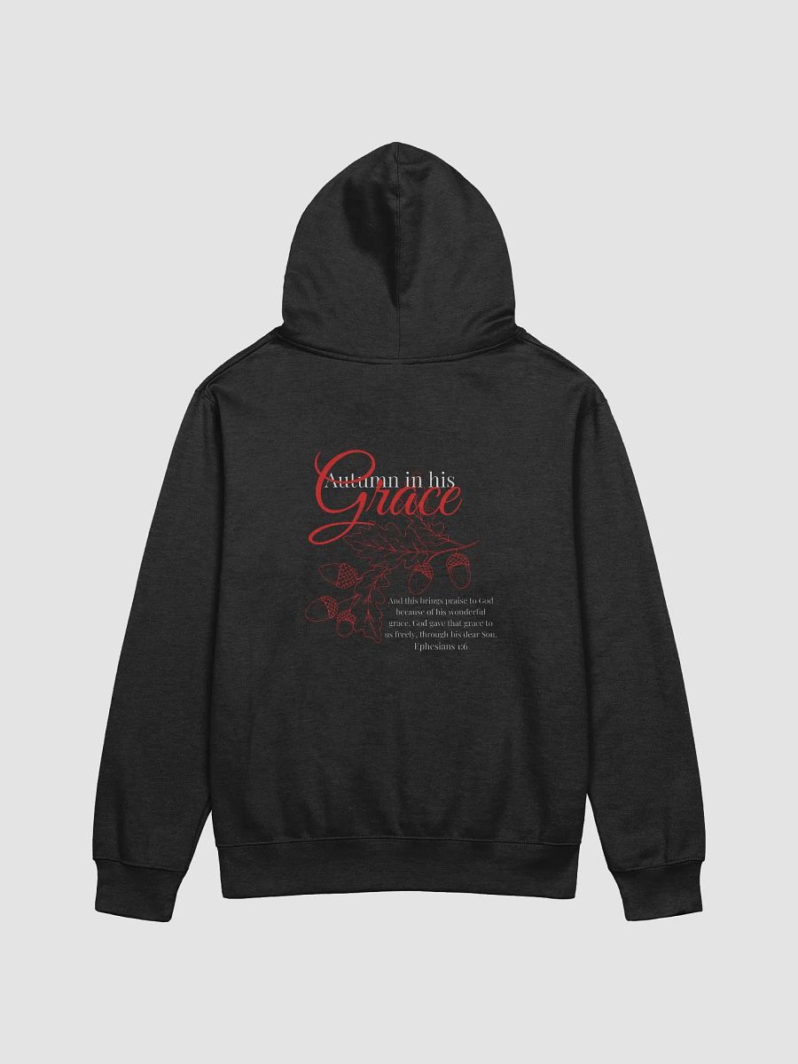 Ephesians 1:6 Hoodie product image (4)