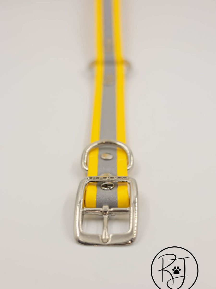 Waterproof Reflective Safety Dog Collar Bright Colors product image (10)