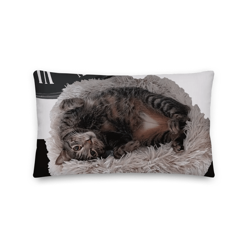 Ben Pillow with Background